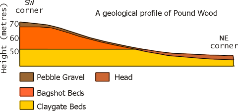 Geological Profile